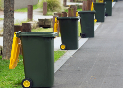 Yellow Bins